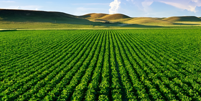 Tétouan: Lancement d’une initiative pour la formation des non-voyants dans le domaine agricole