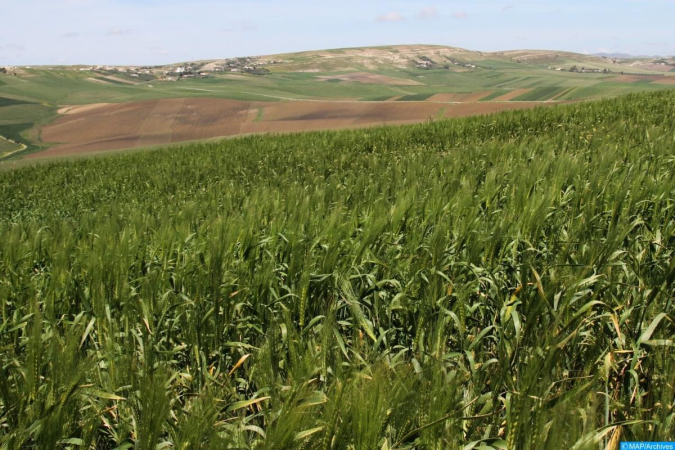Transition agroécologique : signature à Rabat de six conventions de partenariat pour accompagner les petites exploitations agricoles
