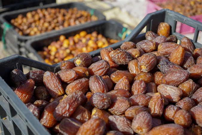 Drâa-Tafilalet : Les coopératives des dattes, vecteur de développement socio-économique local