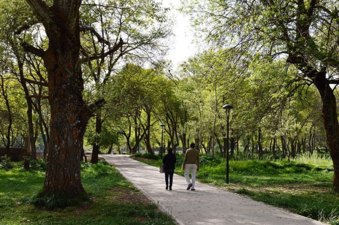 11ème forum méditerranéen des forêts modèles, du 21 au 23 avril à Ifrane