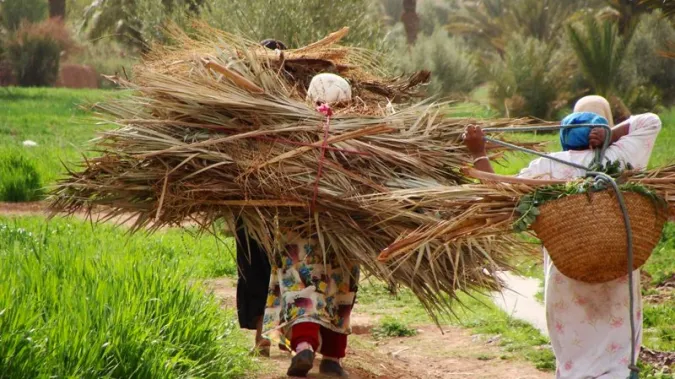 Inclusion des femmes rurales : un gain économique potentiel de 25,3 MMDH