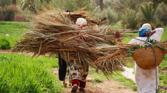 maroc