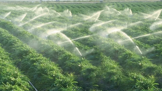  Région de l’Oriental: Des projets structurants et innovants pour moderniser l’irrigation et atteindre la durabilité
