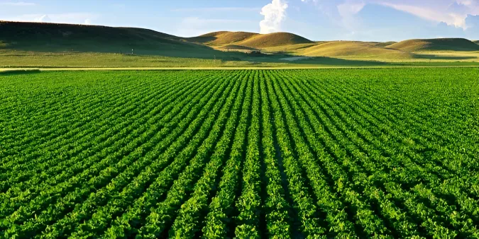 Tétouan: Lancement d’une initiative pour la formation des non-voyants dans le domaine agricole