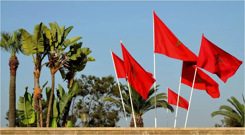Marruecos elegido por unanimidad para presidir la 57ª sesión de la CEA y la Conferencia de ministros africanos de Finanzas, Planificación y Desarrollo Económico
