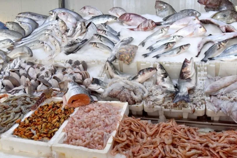 L'initiative "poisson à prix raisonnable".. une forte affluence avec 2.150 tonnes de poissons congelés commercialisés