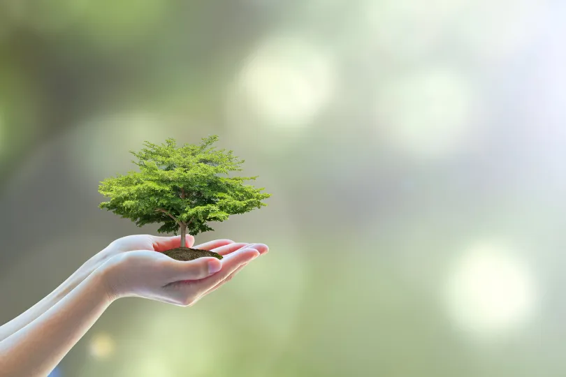 إطلاق برنامج مسابقة المشاريع الخضراء الصغيرة المبتكرة بالمغرب في مجالات متعددة
