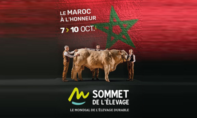 image Actualité 0