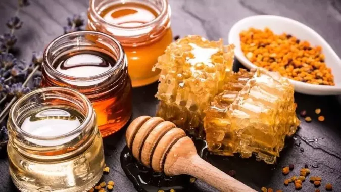 فعاليات مهرجان العسل والمنتوجات المجالية بأكادير إداوتنان