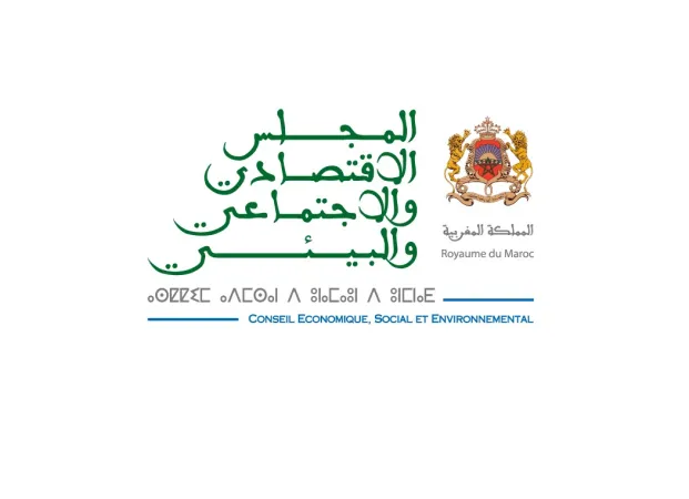 المجلس الاقتصادي والاجتماعي والبيئي يتدارس وضعية عمال الحراسة والنظافة في إطار الصفقات العمومية المناولة، وقضايا التشغيل في القطاع الثالث