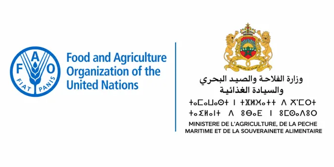 السيادة الغذائية.. المغرب يراهن على الابتكار والشباب