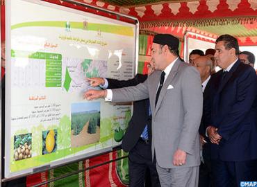 Taourirt: Continued Royal Commitment To Development Of An Inclusive And Sustainable Agriculture